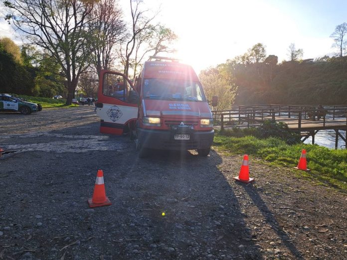 WhatsApp Image 2025-09-15 at 09.00.41