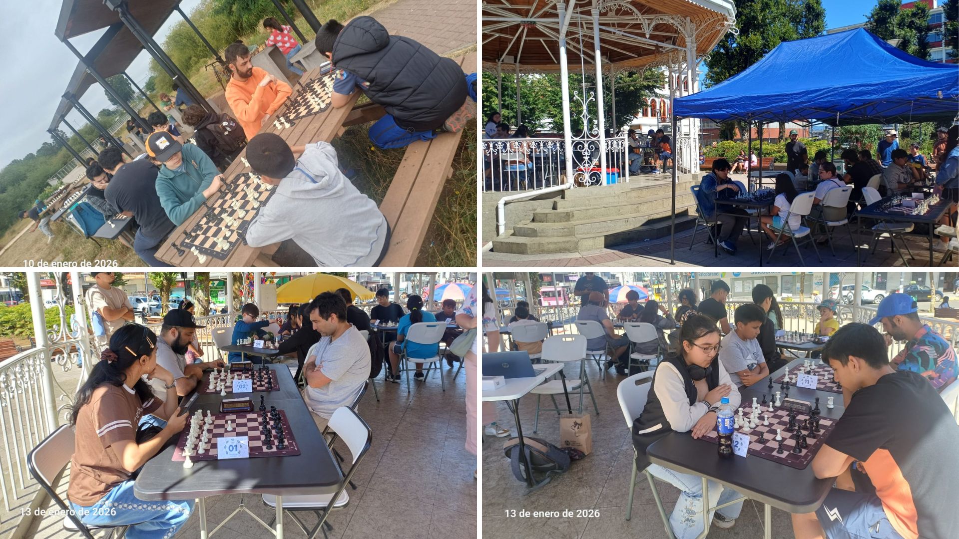 Festival Veraniego de Ajedrez impulsa el deporte ciencia en Valdivia ...