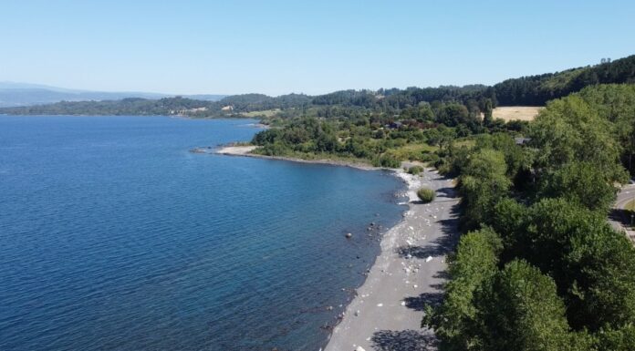 Vista aérea de la playa de Puerto Nuevo, en la comuna de La Unión, a orillas de la cuenca del Lago Ranco.