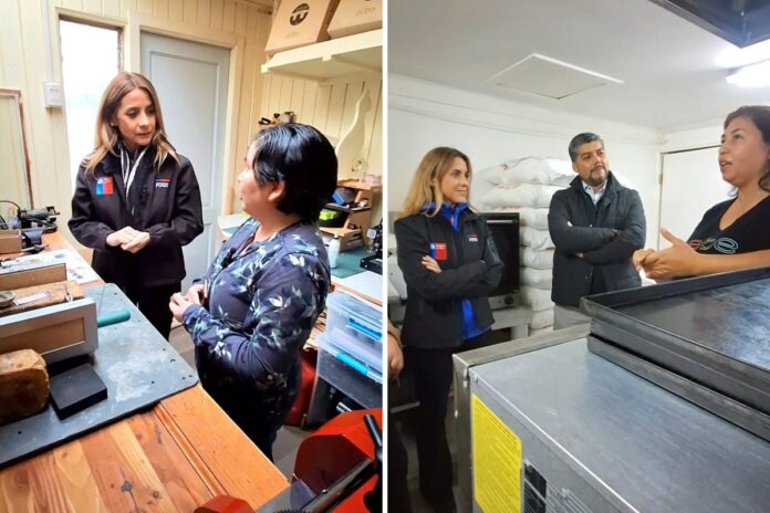 La directora regional del FOSIS, Ann Hunter, conversa con emprendedoras durante visitas a iniciativas apoyadas por el servicio en la Región de Los Ríos.