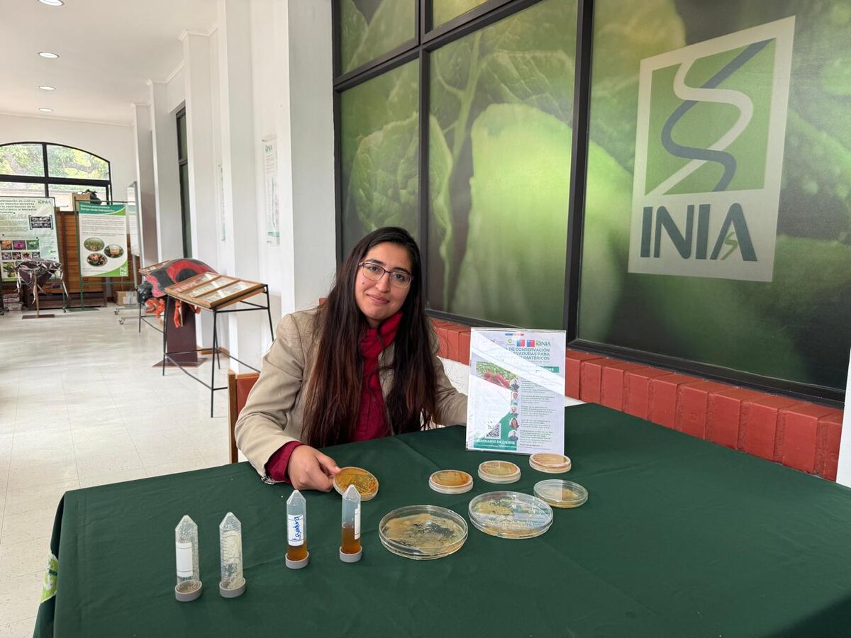Sistema biológico para extender la vida útil de la frutilla